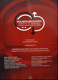 vulnerabilidades direito e genero